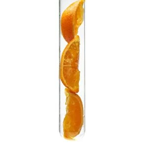 Orange slices in a test tube F007 / 8197