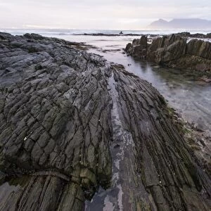 Robben Island, South Africa C014 / 4974