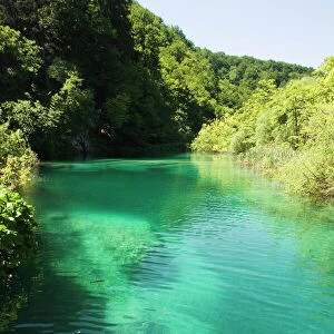 Small fish in turquoise lake, Plitvice Lakes National Park, UNESCO World Heritage Site