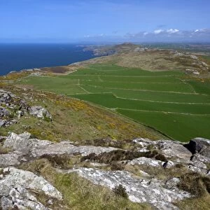 View north of old field system from Carn Llidi, St. Davids, Pembrokeshire National Park