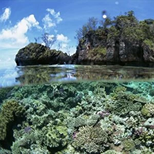 Above and below water view of coral reef surrounding islet of Yanu Yanu i Sau