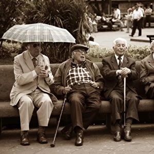 Ecuador, Quito. Four old men discuss events in a park in the Plaza de Armas