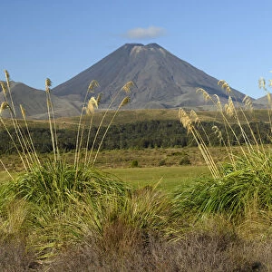 Oceania, New Zealand, Aotearoa, North Island, Tongariro National Park, Mount Tongariro