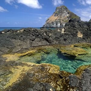 Coral and tide pool with Dois Irmaos in the background, Fernando de Noronha national marine sanctuary, Pernambuco, Brazil (S. Atlantic)