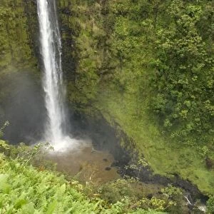 Akaka Falls, Hamakua