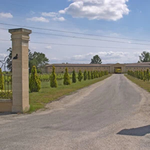 The back entrance to the Chateau Haut Bertinerie with gate posts and a tree lined