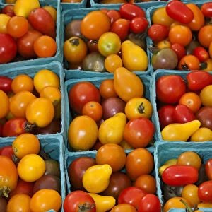 North America, USA, Georgia; Savannah; Organic cherry tomatoes at a farmer s