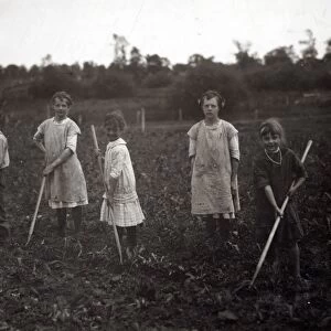 HINE: HOEING CORN, 1915. Group of children hoeing corn on their fathers farm near