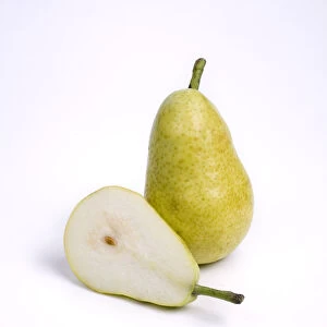 Pyrus communis Kaiser Alexander (Kaiser Alexander pears)