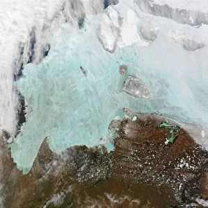 The winter sea ice in the east Siberian Sea. True-colour Moderate Resolution Imaging