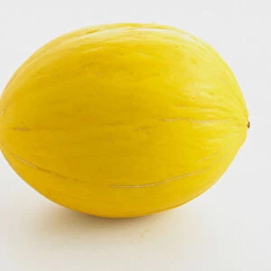 Yellow melon on white background