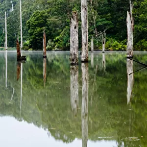 Lake Elizabeth, Great Otway National Park