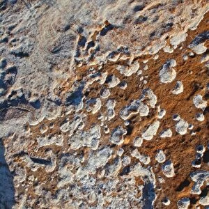 Textured Rock