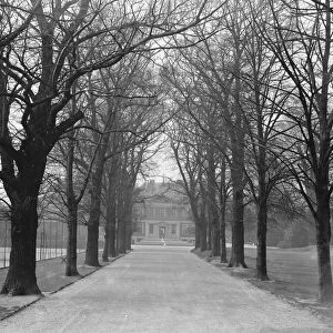 At the Ranelagh Club, Barnes, West London, the avenue of trees leading up to the Club House