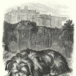 Greyfriars Bobby, on the Grave of his Master (engraving)