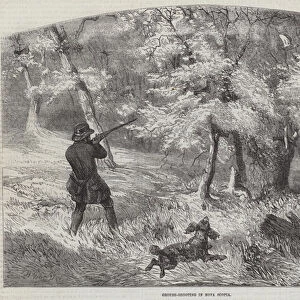 Grouse-Shooting in Nova Scotia (engraving)