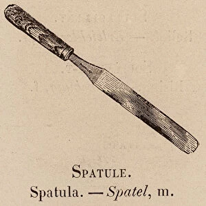 Le Vocabulaire Illustre: Spatule; Spatula; Spatel (engraving)