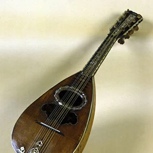 Still life of Neapolitan mandolin invented by Giuseppe Filano. Naples 1784