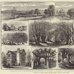 Opening of Epping Forest by the Queen, Views in the Forest (engraving)