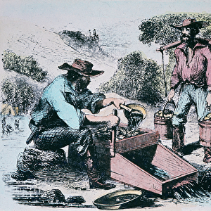 Prospectors using a rocker or cradle