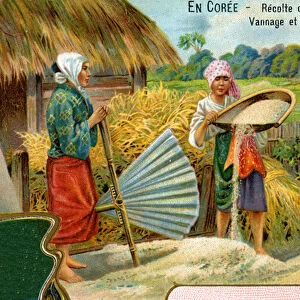 The rice harvest in Korea, winnowing and threshing, 1904 (colour litho)