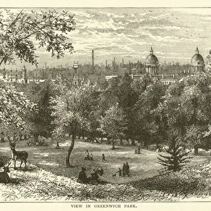 View in Greenwich Park (engraving)