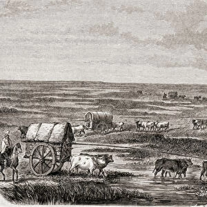 Wagon Train on the Argentinian Pampas in the 1860s, engraved by Alfred Louis Sargent (b