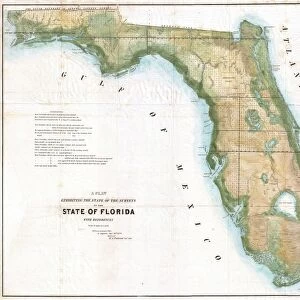 1848, Land Survey Map of Florida, topography, cartography, geography, land, illustration