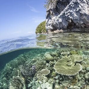 A healthy coral reef grows near limestone islands in Raja Ampat