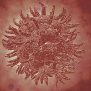 Microscopic view of yellow fever virus