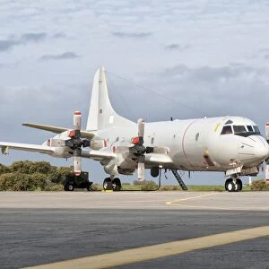 A Portuguese Air Force P-3C Cup Orion at Beja Air Base, Portugal