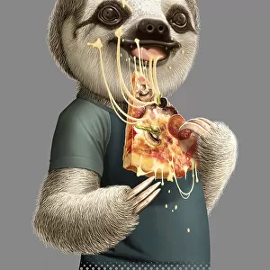 sloth eat pizza