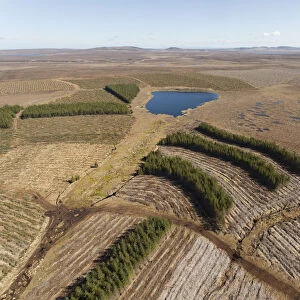 Aerial view of Forsinard Flows blanket bog, with conifer plantations, Forsinard, Caithness