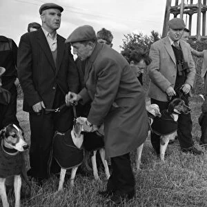 Hound Trailing, one of Cumbrias oldest and most popular sports, Keswick, 2nd July 1962