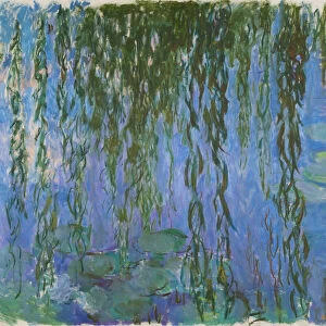 Nympheas avec rameaux de saule, 1916-1919. Creator: Monet, Claude (1840-1926)