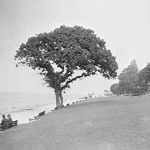 Princes Green, Cowes, Isle of Wight, c1935. Creator: Kirk & Sons of Cowes