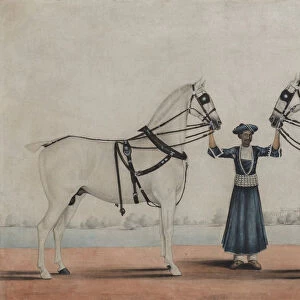 A Syce (Groom) Holding Two Carriage Horses, ca. 1845. Creator