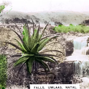 Umls Falls, South Africa, c1920s. Artist: Cavenders Ltd