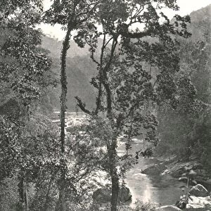 View of the Kelani River, Kurunegala, Ceylon, 1895. Creator: W &s Ltd