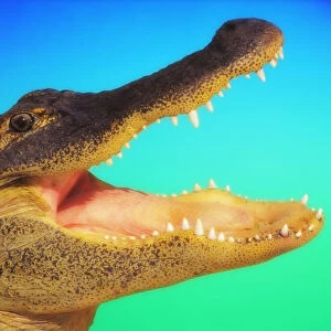 Alligator head with open mouth against a blue and green background