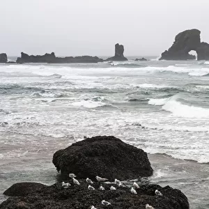 Winter Weather Comes To The Oregon Coast; Cannon Beach, Oregon, United States Of America