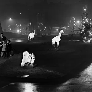 Christmas lights in St Johns Gardens, Liverpool. December 1960