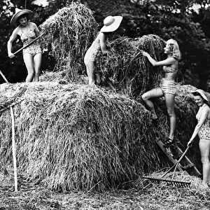 Land girls haymaking MSI Retro1 WW2