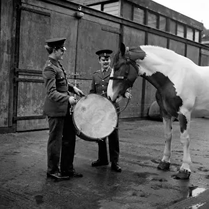 The Queen has bought "Cicero"an Edinburgh Co-operative Society milk horse