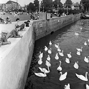 Scenes along the River Thames between Kew and Hammersmith, London. August 1954