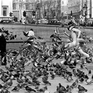 The Streaker March 1974 Among the pigeon at Trafalgar Square