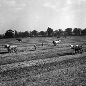 Its a treat for the eyes - a Victory Ploughing Match
