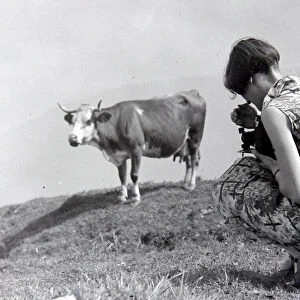 Woman photographing a cow at Schynige Platte in Switzerland August 1929