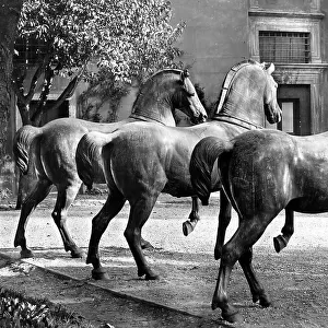 The golden bronze horses of St. Mark's Basilica in Venice, deposited in the courtyard of Palazzo Venezia in Rome to protect them from the Austrian bombings of the First World War
