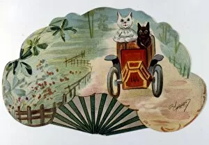 Two cats on a fan, driving a car